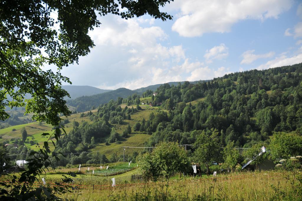 Drevenicka 110 Villa Zazriva Bagian luar foto